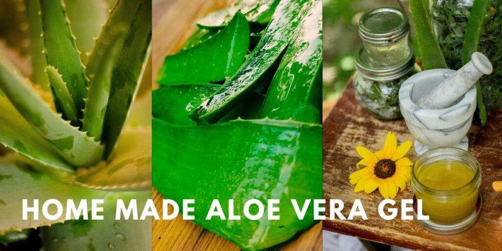 home made aloe vera gel