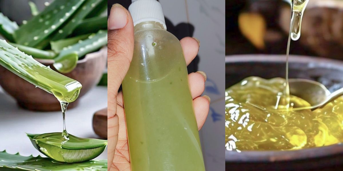 home made aloe vera gel