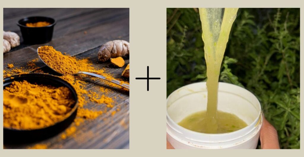 turmeric and aloe vera