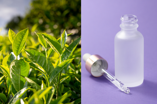 How green tea and glycolic acid Glycolic Acid