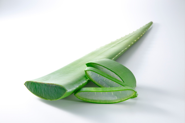 Multani Mitti and Aloe Vera Gel Face pack